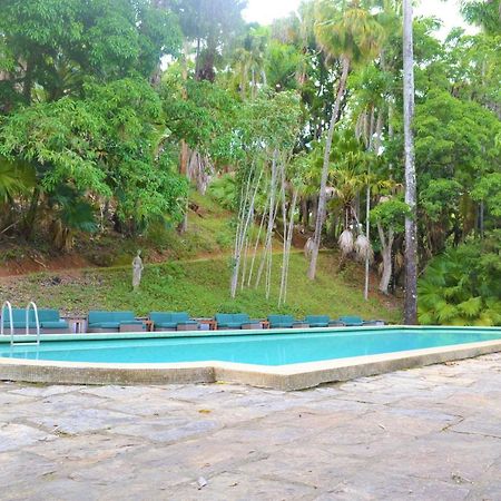 Hotel Do Cafe Rio das Flores Exterior photo